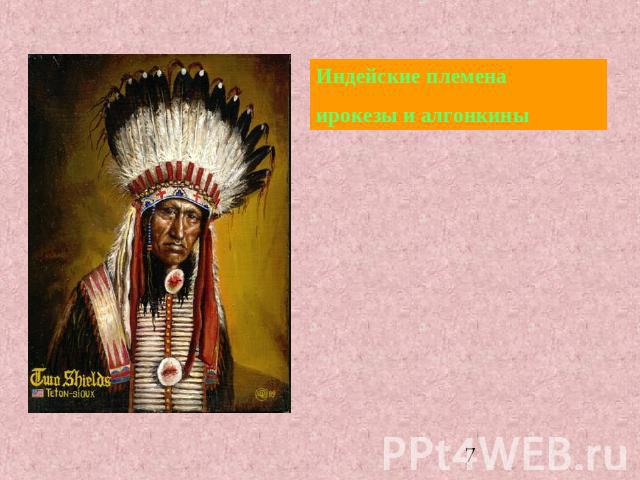 Индейские племена ирокезы и алгонкины