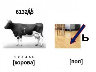 1 2 3 4 5 6 [корова] [пол]