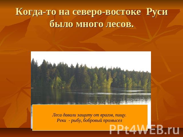 Когда-то на северо-востоке Руси было много лесов. Леса давали защиту от врагов, пищу. Реки - рыбу, бобровый промысел