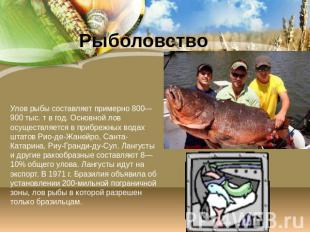Рыболовство Улов рыбы составляет примерно 800—900 тыс. т в год. Основной лов осу
