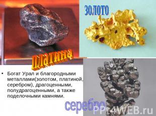 Богат Урал и благородными металлами(золотом, платиной, серебром), драгоценными,
