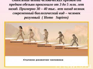 Отделение ветви человеческих предков от предков обезьян произошло от 3 до 5 млн.
