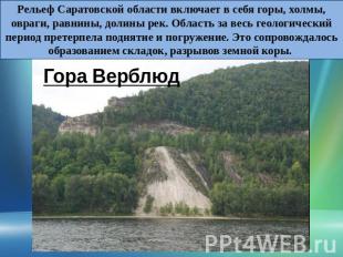 Гора Верблюд Рельеф Саратовской области включает в себя горы, холмы, овраги, рав