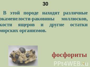 30 В этой породе находят различные окаменелости-раковины моллюсков, кости ящеров