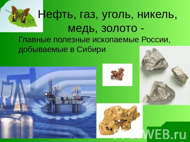 Нефть, газ, уголь, никель, медь, золото - Главные полезные ископаемые России, добываемые в Сибири