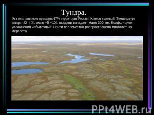 Тундра.Эта зона занимает примерно17% территории России. Климат суровый. Температ