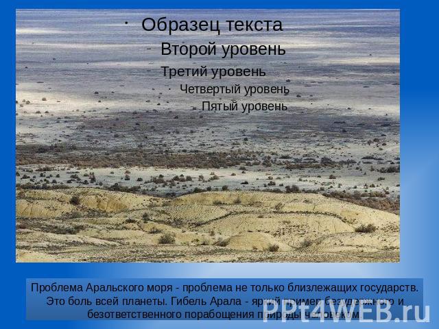 Проблема Аральского моря - проблема не только близлежащих государств. Это боль всей планеты. Гибель Арала - яркий пример безудержного и безответственного порабощения природы человеком.