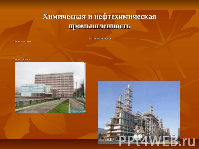 Химическая и нефтехимическая промышленность Ведущие предприятия: ОАО «Химпром» ОАО «Каустик».
