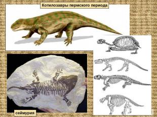 Котилозавры пермского периода