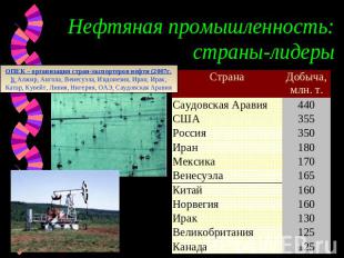 Нефтяная промышленность: страны-лидеры ОПЕК – организация стран-экспортеров нефт
