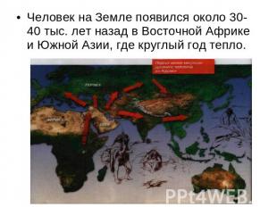 Человек на Земле появился около 30-40 тыс. лет назад в Восточной Африке и Южной