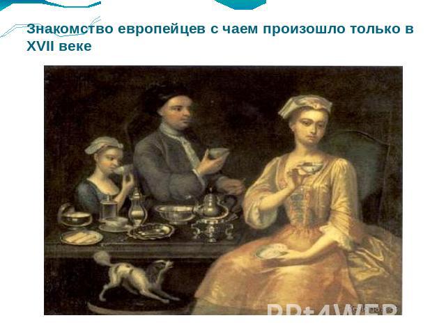Знакомство европейцев с чаем произошло только в XVII веке