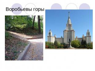 Воробьевы горы Ботанический сад «Аптекарский огород« - старейший в России.