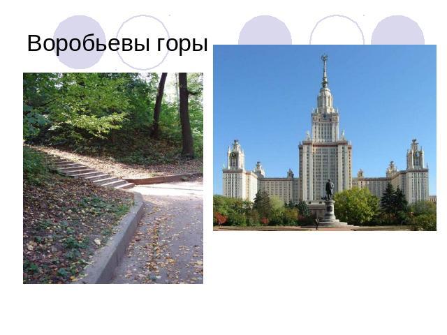 Воробьевы горы Ботанический сад «Аптекарский огород« - старейший в России.