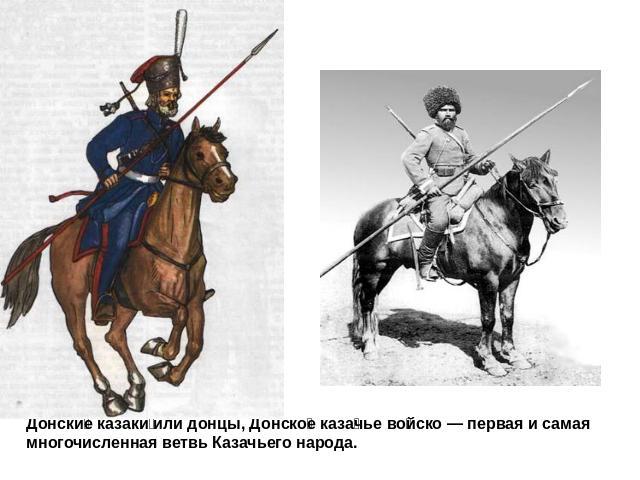 Донские казаки или донцы, Донское казачье войско — первая и самая многочисленная ветвь Казачьего народа.