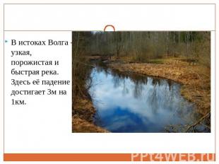 В истоках Волга - узкая, порожистая и быстрая река. Здесь её падение достигает 3