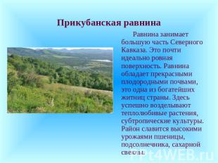 Прикубанская равнина Равнина занимает большую часть Северного Кавказа. Это почти
