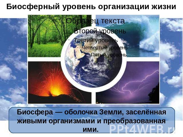 Биосферный уровень организации жизни Биосфера — оболочка Земли, заселённая живыми организмами и преобразованная ими.