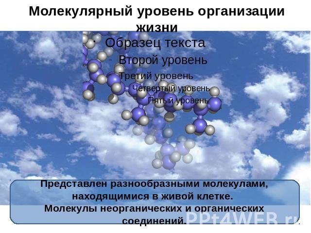 Молекулярный уровень организации жизни Представлен разнообразными молекулами, находящимися в живой клетке. Молекулы неорганических и органических соединений.