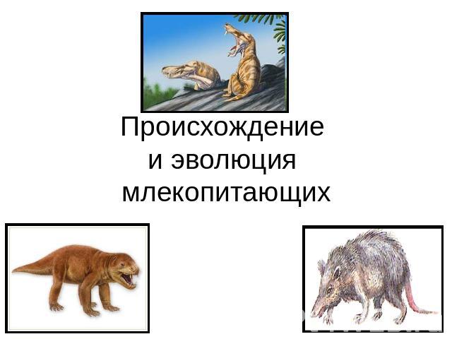 Происхождение и эволюция млекопитающих