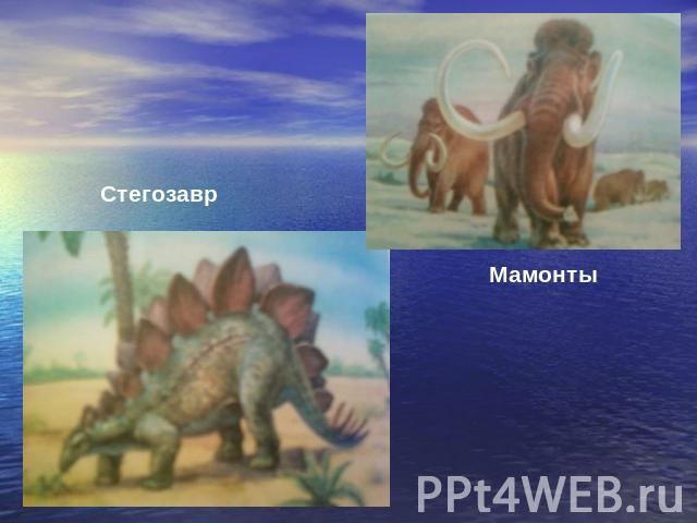 Стегозавр Мамонты