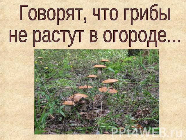 Говорят, что грибы не растут в огороде...