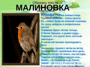 МАЛИНОВКА Малиновка – милая певчая птица.Причина названия – очень проста:Её, сло