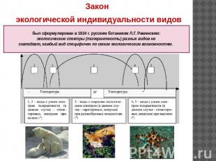 Закон экологической индивидуальности видов был сформулирован в 1924 г. русским б