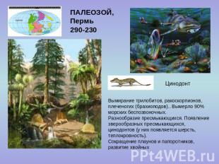 ПАЛЕОЗОЙ, Пермь 290-230 Вымирание трилобитов, ракоскорпионов, плеченогих (брахио