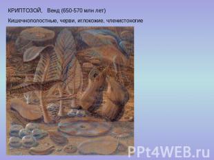 КРИПТОЗОЙ, Венд (650-570 млн лет) Кишечнополостные, черви, иглокожие, членистоно