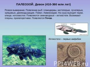 ПАЛЕОЗОЙ. Девон (410-360 млн лет) Резкое вымирание. Появление рыб: плакодермы, к