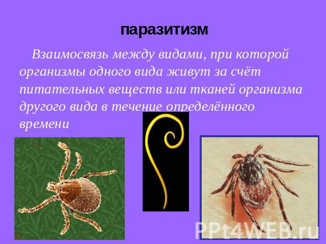 паразитизм Взаимосвязь между видами, при которой организмы одного вида живут за счёт питательных веществ или тканей организма другого вида в течение определённого времени