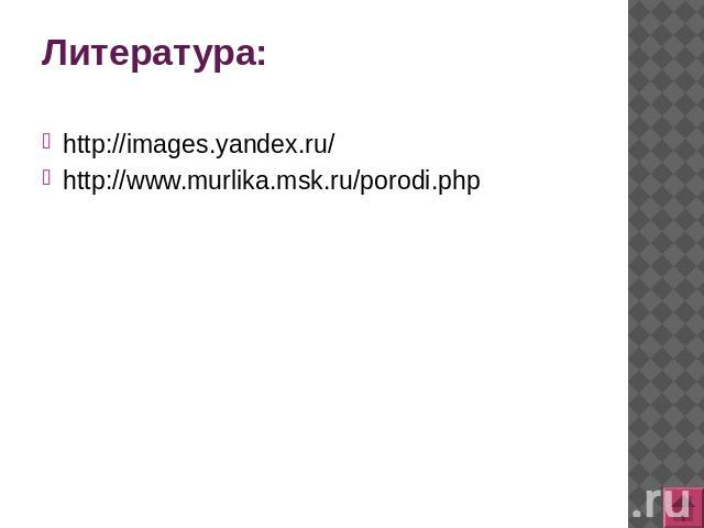 Литература: http://images.yandex.ru/ http://www.murlika.msk.ru/porodi.php