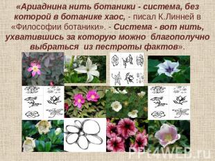 «Ариаднина нить ботаники - система, без которой в ботанике хаос, - писал К.Линне