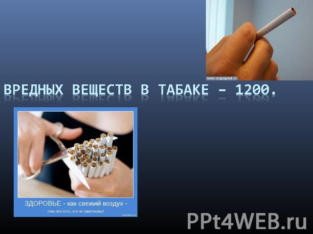 Вредных веществ в табаке – 1200.