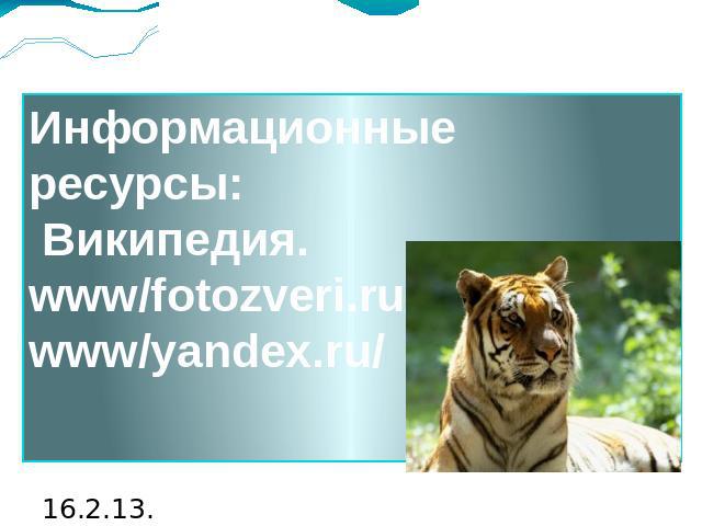 Информационные ресурсы: Википедия. www/fotozveri.ru/ www/yandex.ru/