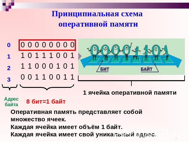 Принципиальная схема оперативной памяти Оперативная память представляет собой множество ячеек. Каждая ячейка имеет объём 1 байт. Каждая ячейка имеет свой уникальный адрес.