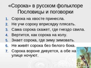 «Сорока» в русском фольклореПословицы и поговорки Сорока на хвосте принесла. Не