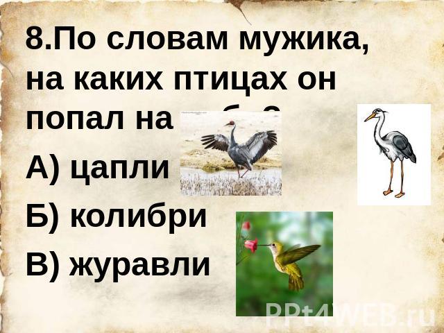 8.По словам мужика, на каких птицах он попал на небо? А) цапли Б) колибри В) журавли