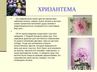 ХРИЗАНТЕМА На современном языке цветов хризантема - эмблема печали, символ осени