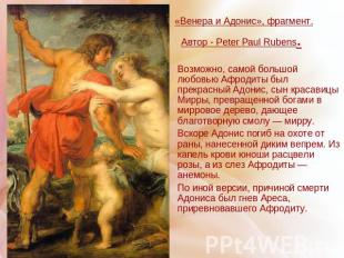 «Венера и Адонис», фрагмент. Автор - Peter Paul Rubens. Возможно, самой большой