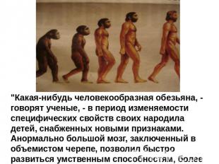 "Какая-нибудь человекообразная обезьяна, - говорят ученые, - в период изменяемос