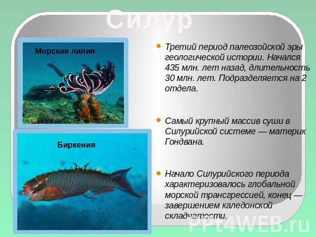 Третий период палеозойской эры геологической истории. Начался 435 млн. лет назад, длительность 30 млн. лет. Подразделяется на 2 отдела. Самый крупный массив суши в Силурийской системе — материк Гондвана. Начало Силурийского периода характеризовалось…