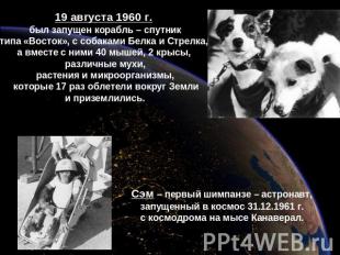 19 августа 1960 г. был запущен корабль – спутник типа «Восток», с собаками Белка