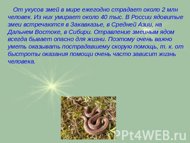 От укусов змей в мире ежегодно страдает около 2 млн человек. Из них умирает около 40 тыс. В России ядовитые змеи встречаются в Закавказье, в Средней Азии, на Дальнем Востоке, в Сибири. Отравление змеиным ядом всегда бывает опасно для жизни. Поэтому …
