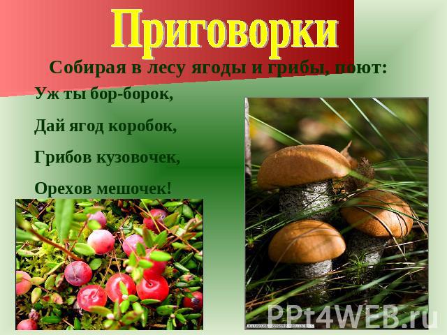 Приговорки Собирая в лесу ягоды и грибы, поют: Уж ты бор-борок, Дай ягод коробок, Грибов кузовочек, Орехов мешочек!