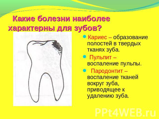 Какие болезни наиболее характерны для зубов? Кариес – образование полостей в твердых тканях зуба. Пульпит – воспаление пульпы. Пародонтит – воспаление тканей вокруг зуба, приводящее к удалению зуба.