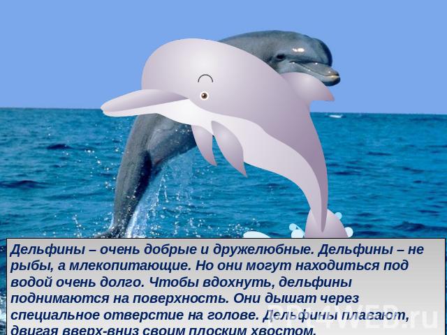 Дельфины – очень добрые и дружелюбные. Дельфины – не рыбы, а млекопитающие. Но они могут находиться под водой очень долго. Чтобы вдохнуть, дельфины поднимаются на поверхность. Они дышат через специальное отверстие на голове. Дельфины плавают, двигая…
