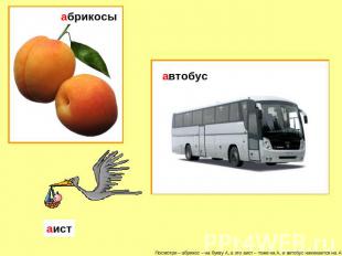 абрикосы автобус аист