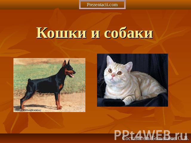Кошки и собаки Составитель Большаков С. В.
